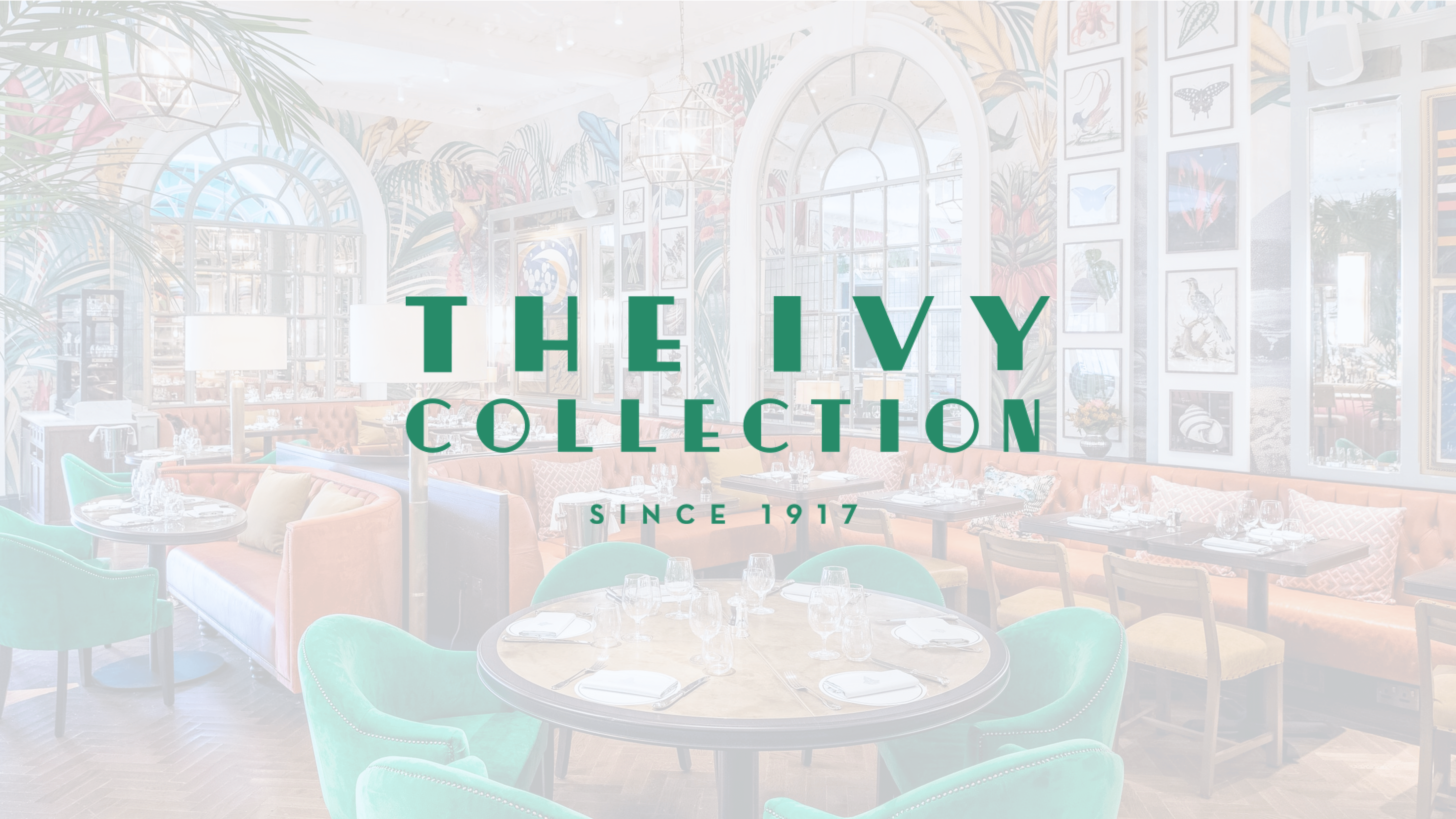 The Ivy Collection